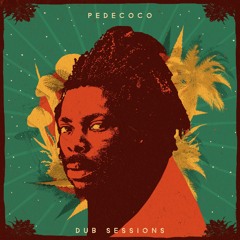 Drop Time (Dub sessions Lion & Fox)