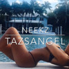 Neekz - Taz's Angels Final