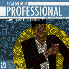 Ricardo Drue - Professional (Njin Earz Tribal Remix) (Instrumental)