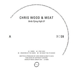B2 - Chris Wood & Meat - We Want You To Dance - DesolatX028 Snippet