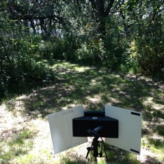 20150717 SDSU OakLakeFieldStationExcerpt LS110968.WAV