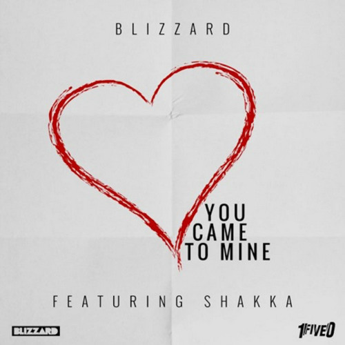 Blizzard & Shakka - You Came To Mine (Wizard Remix)