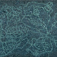 Paradise at Night - (Free Download)