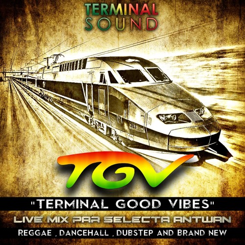 TGV (TERMINAL GOOD VIBES) LIVE MIX BY SELECTA ANTWAN