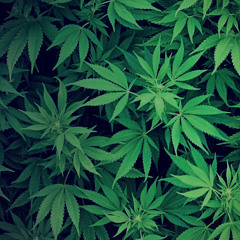 Kings Kush (Kendrick Lamar Type Beat)