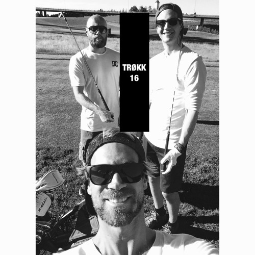 Hallingdittsvin - Trøkk16Remix (Halling,Hennie,Flisafar)