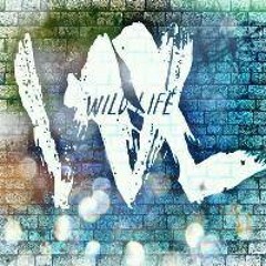 @NassieTheProducer- Shake That Donk Ft #DEV