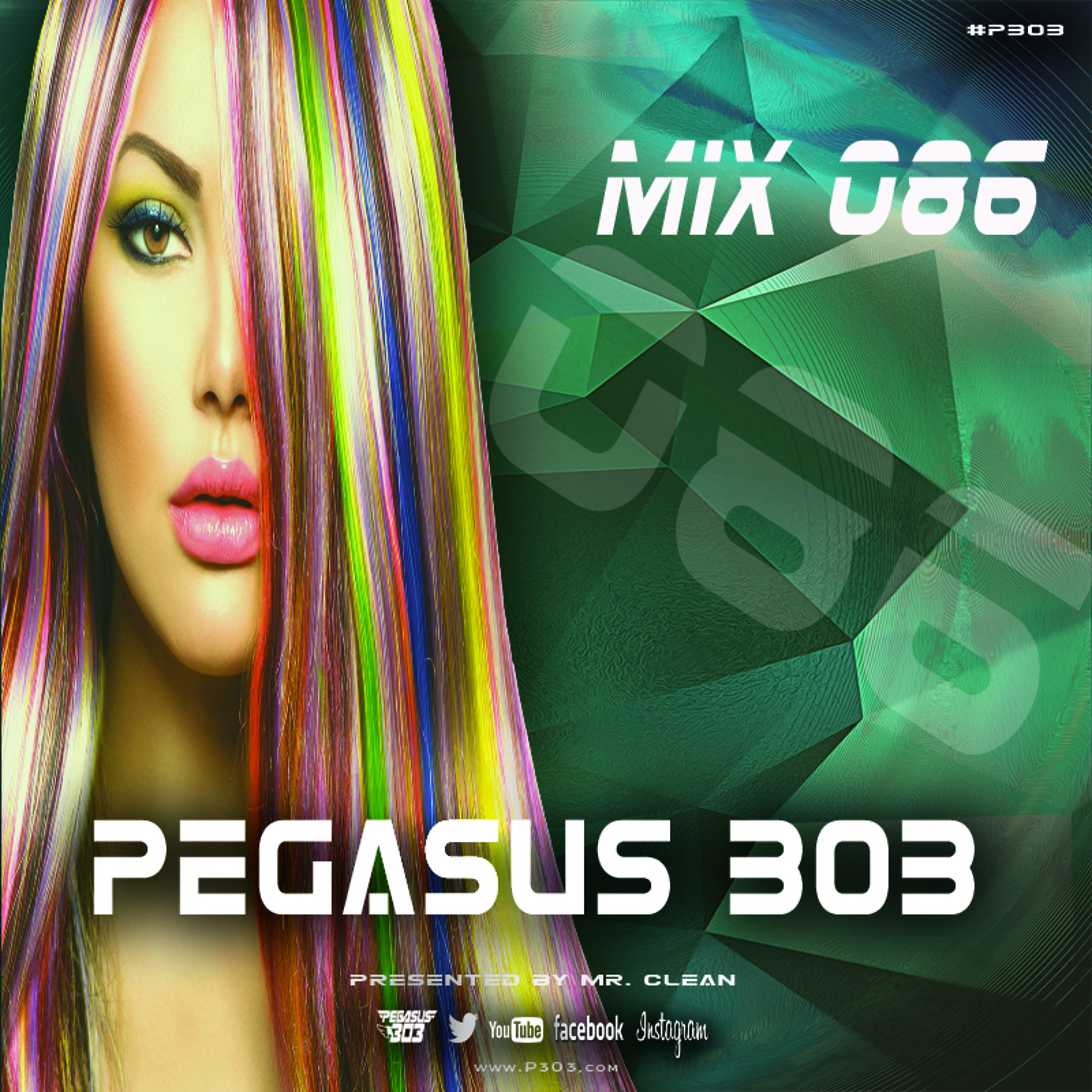 Pegasus 303 (mrclean)