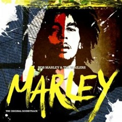 Bob Marley - No Woman No Cry ( Carles Dj & Dj Fullbeat Techno REMIX )