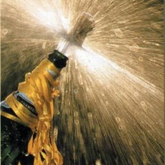 Pablo Montoya westside summer swagmix 2k15 Champagne Crew