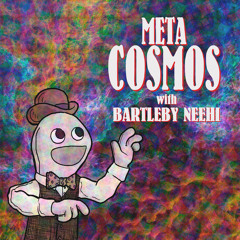 MetaCosmos #001: What is the Meta-Cosmos?