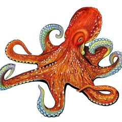 Kolkrabbi - Ógleðisveitin(Haltu Kjafti)  (teaser)