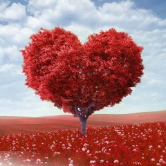 يسرى محنوش . بفكر فيك ❤