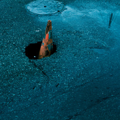 Devastator Dub (Wire Nest Remix)