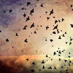 معزوفة..مون امور