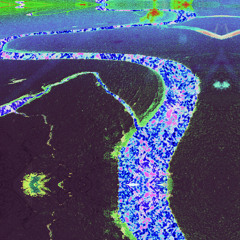 C͘a͘m͘a͘l͘e͘å͘o͘ L͘i͘v͘e͘