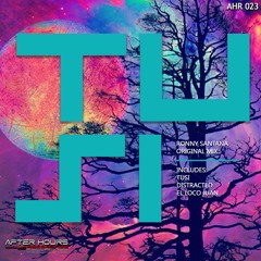 Ronny Santana - El Loco Juan (Original Mix)