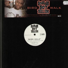 Soulja Boy Tellem - Birdwalk (Taste Tester 909 Robocop Mix)