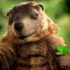 If A Wood Chuck Would?