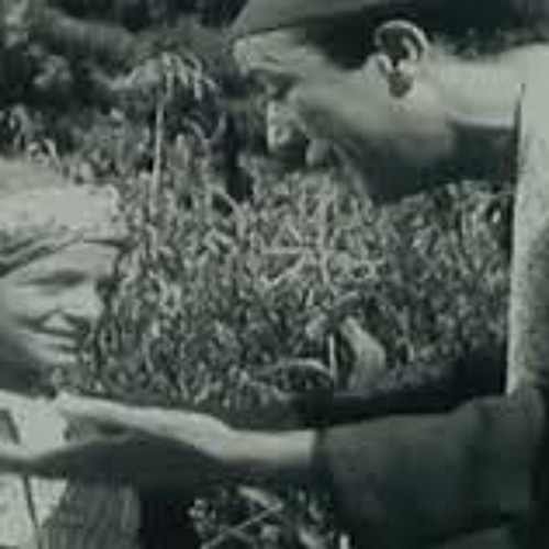 "حبيت بلدي .. رائعة لـ سيد اسماعيل
