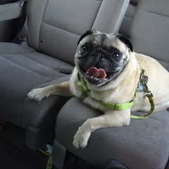 Glenscape (Hip Hop Jam)