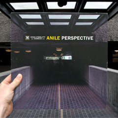Anile - 'Perspective' Minimix