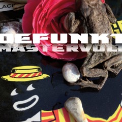 Defunkt Mastervolt (Promo Mix Long 9.06)