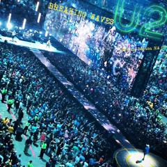 The Miracle (Of Joey Ramone)