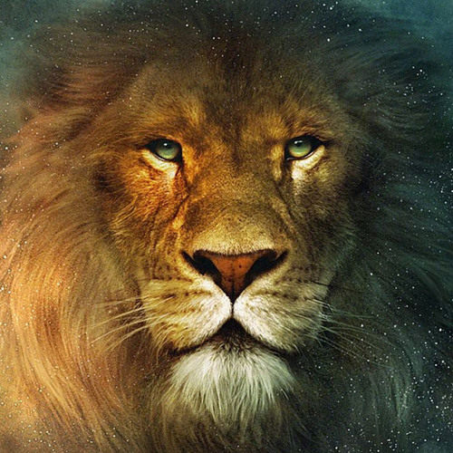 Dreadnought - Lionheart