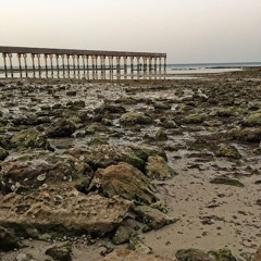 The Scientist (Cover)