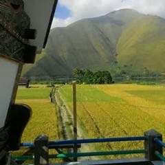 Mardalan ahu(cover) feat ricky sembiring