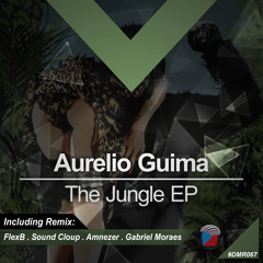 #DMR067: Aurelio Guima - The Jungle (Original Mix)