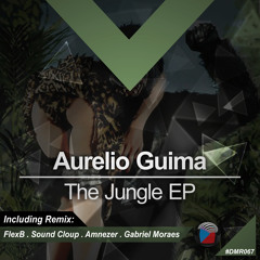 #DMR067: Aurelio Guima - The Jungle (FlexB, Sound Cloup Remix)