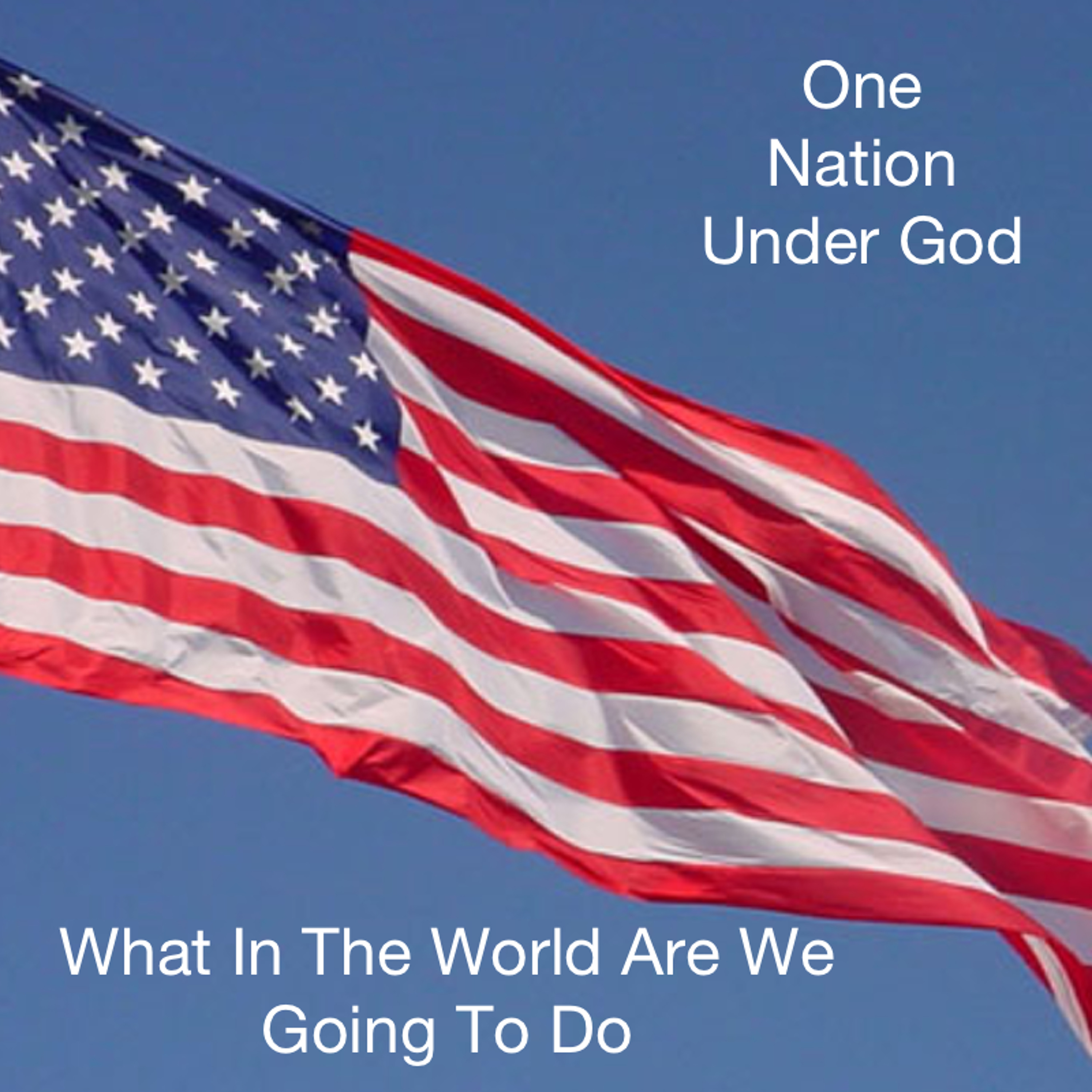 One Nation Under God (Part One) What In The World Are We Going To Do episode artwork
