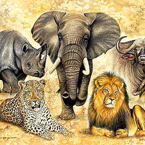 Пятерка африки. Большая Африканская пятёрка. Пятерка животных Африки. Африканская 5 животных. Большая пятерка животных.