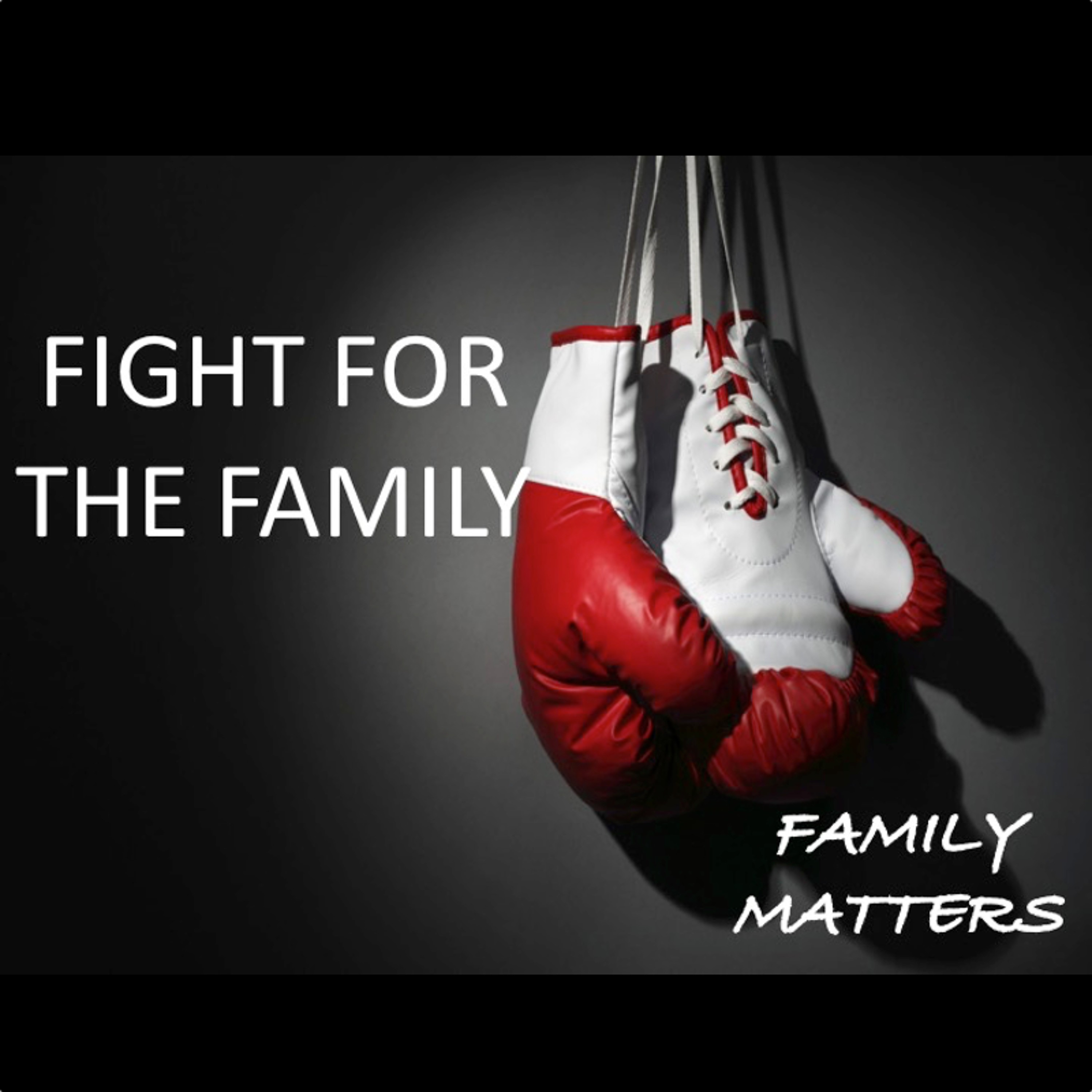Family Matters Pt 1 (Fight For The Family) episode artwork