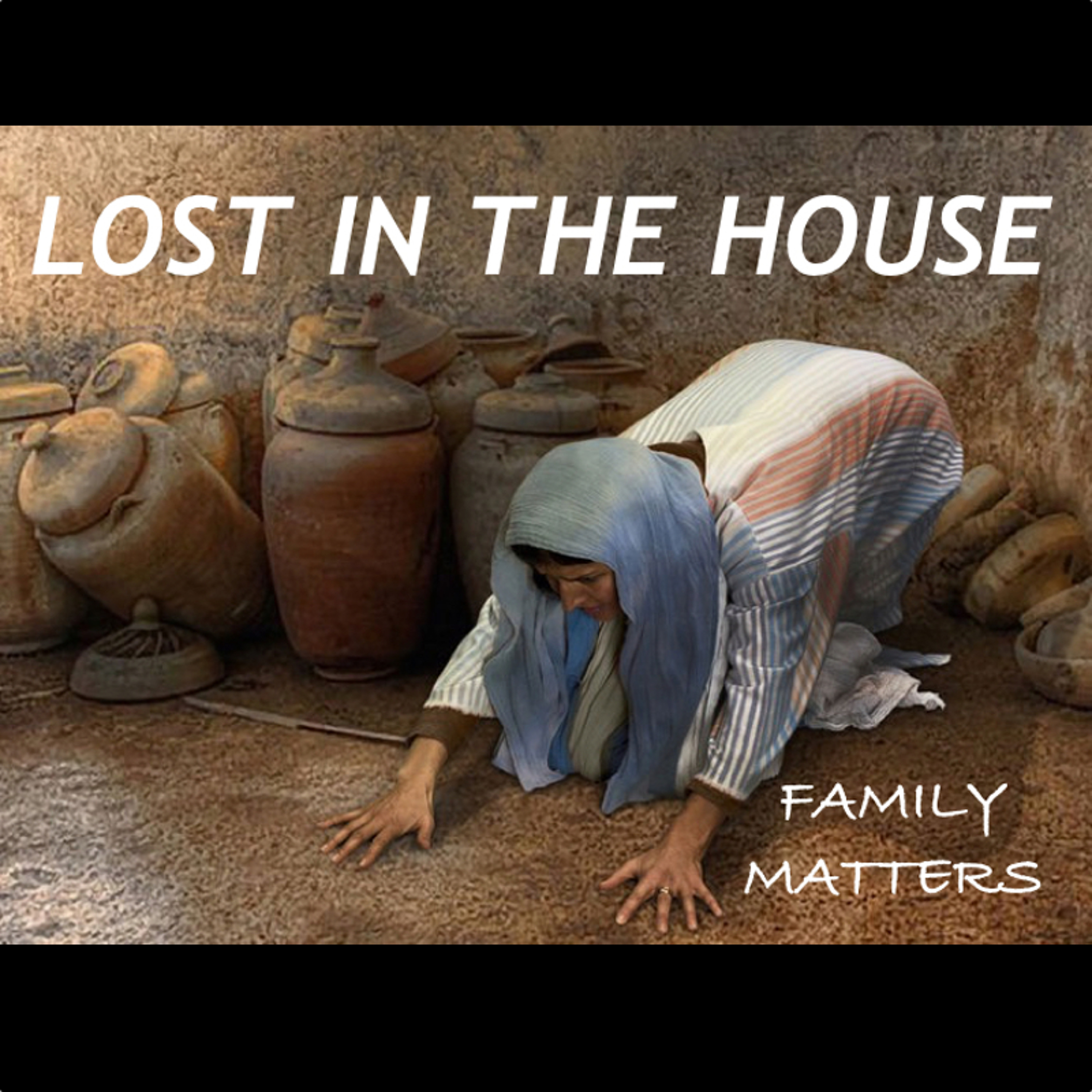 Family Matters Pt 3 (Lost In The House) episode artwork