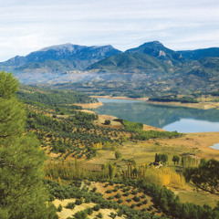 La Depresión Del Guadalquivir