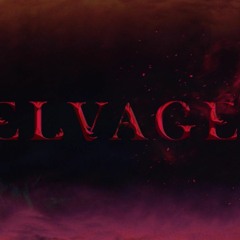 Selvagem - Estrellas que iluminan