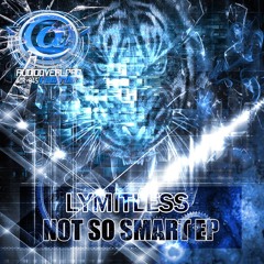 AOR045 - LYMITLESS - COMPUTER TECHNOLOGY - OUT NOW