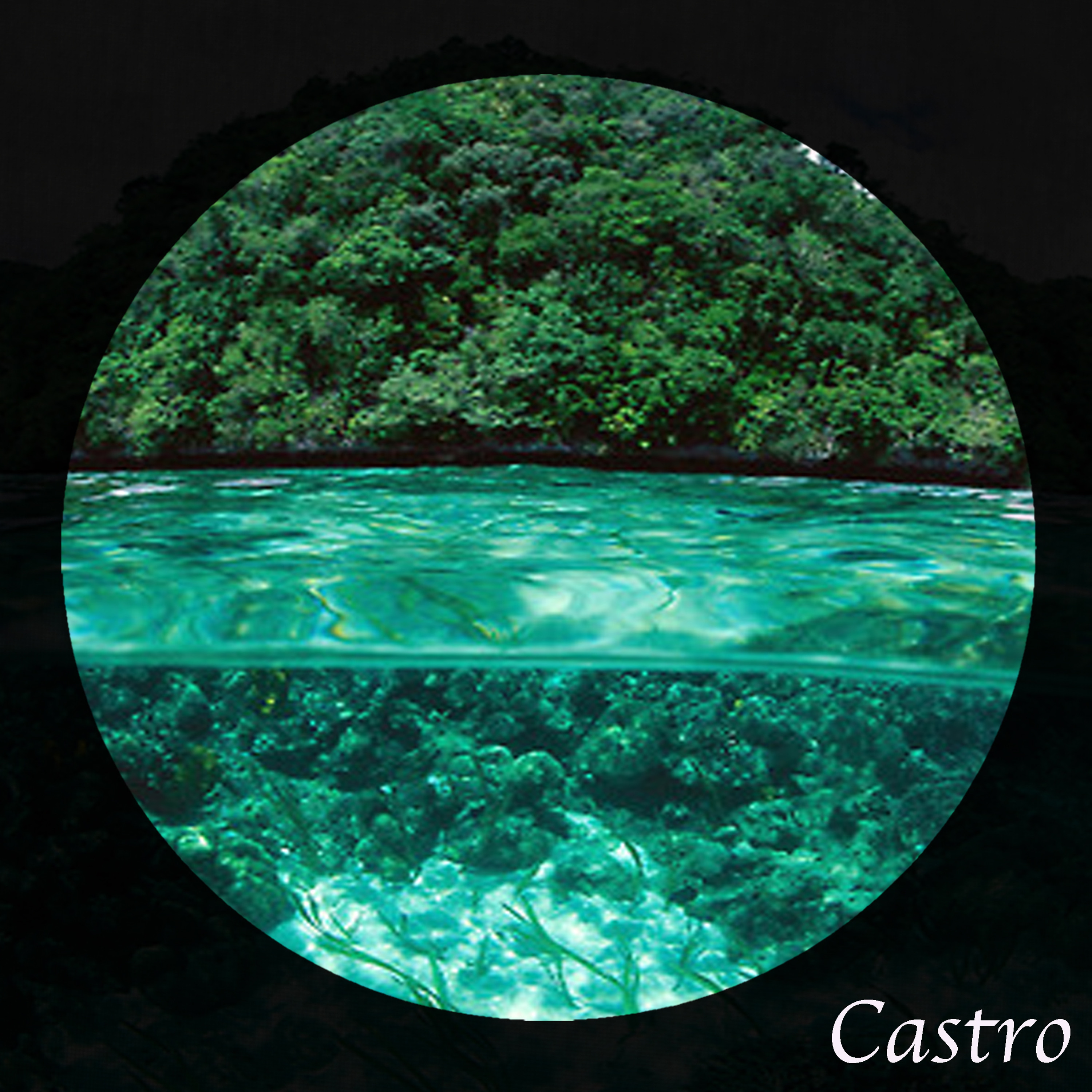 Castro episode artwork