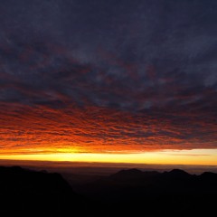 Scatter 1 - Luv And Forte