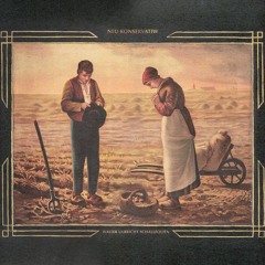 Trauerschwalben Am Hinterwiesenweiher