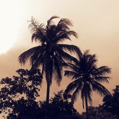 Flite - Dive
