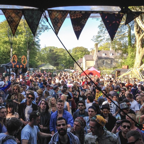 Move D - Disco Set @ Gottwood Festival