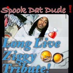 Ziggy Tribute Spook Dat Dude