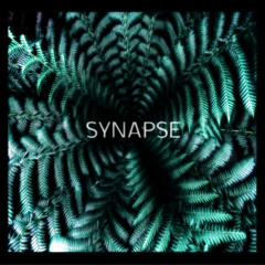 SYNAPSE (w/LUDICY)