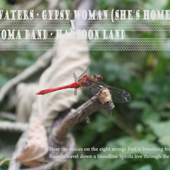 She's Harpoon Homeless Land