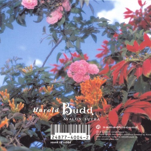 It's Steeper Near the Roses [For David Sylvian]