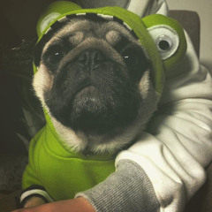 Heavy baile nessa porra